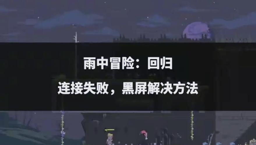 雨中冒险2联机延迟缩略图