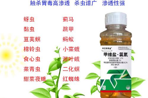 蔬菜去除农药缩略图