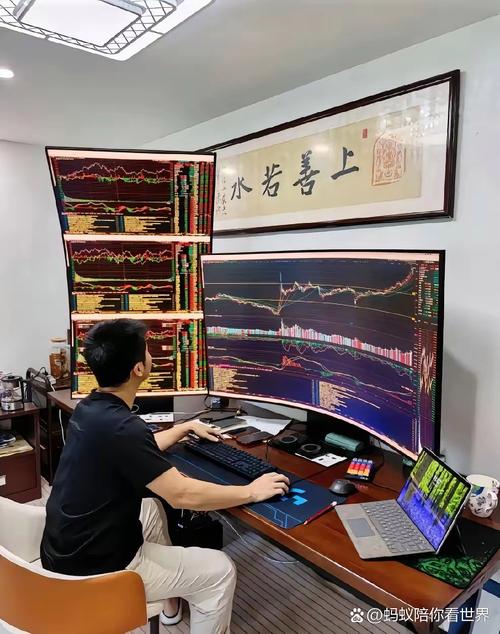 道衍私募林世杰股票