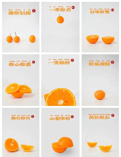 苦橙花的花语和象征缩略图
