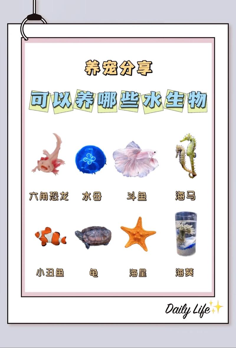美西螈的生成条件