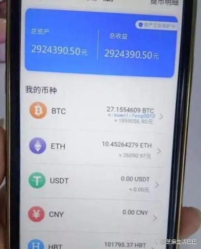 100个比特币占多少名