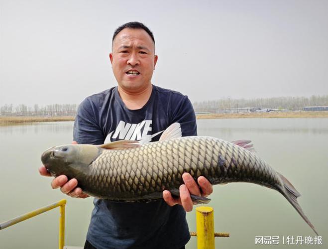 跑步鱼是什么鱼