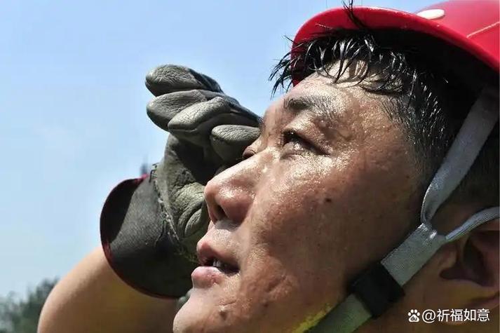 收走不让还是我的汗水不白流