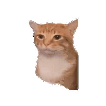 meme猫表情包GIF游戏截图