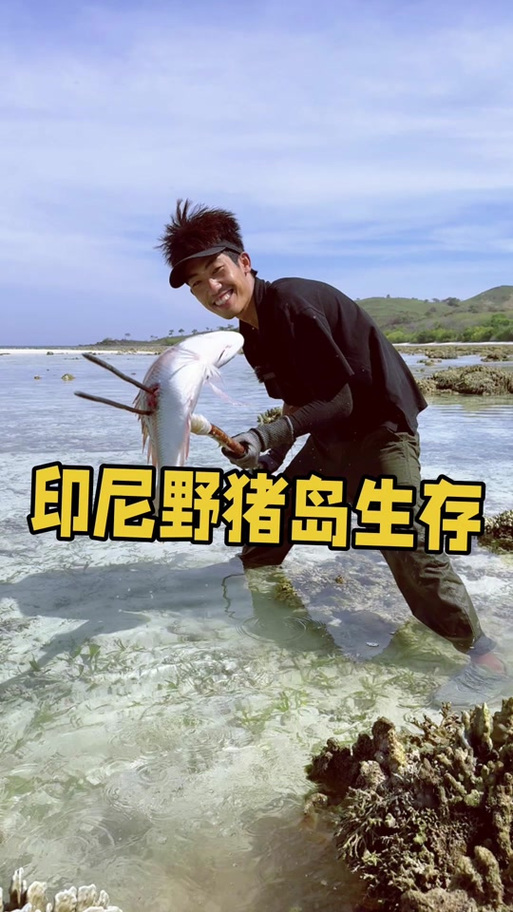 荒岛求生主播推荐