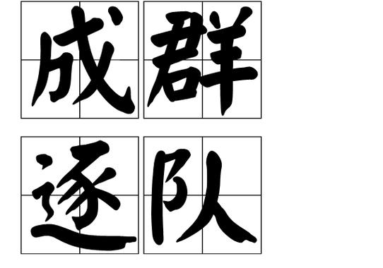 一队是词语吗
