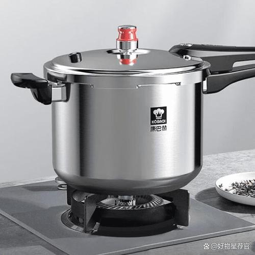 高压锅和电压力锅哪个好用