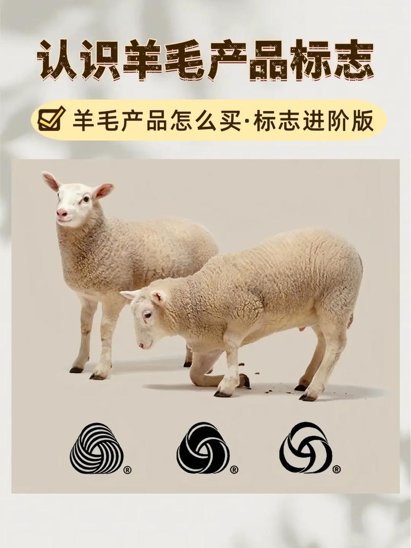 薅羊毛线包群缩略图