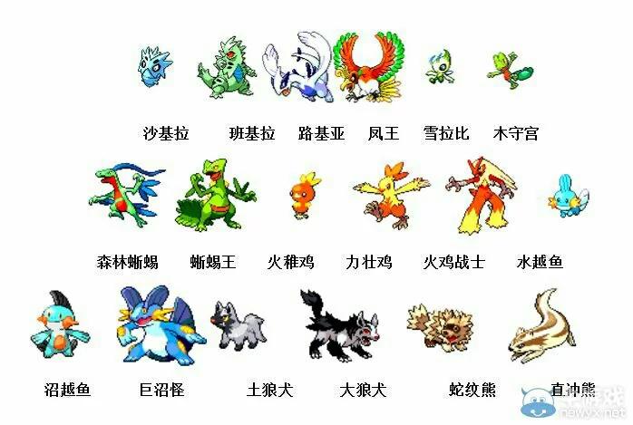 口袋妖怪图鉴2023安卓版的功能介绍
