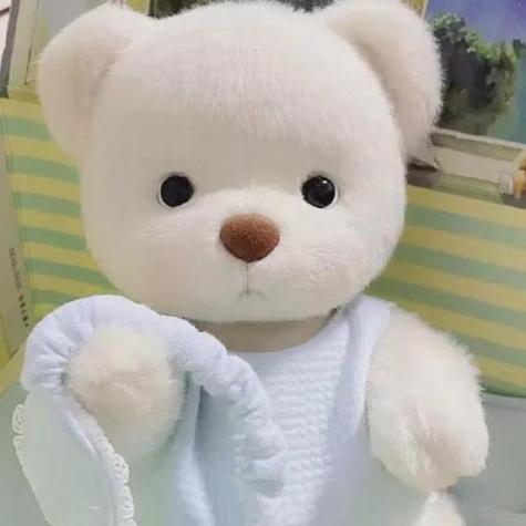 我最喜欢的玩具小熊