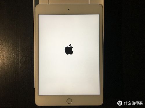 ipad5开机亮一下自动关机