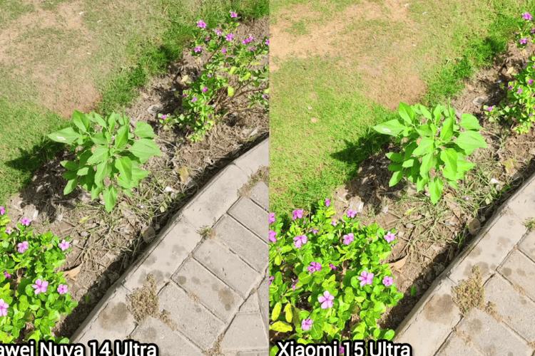 nova14ultra拍照和自拍美颜怎么不一样