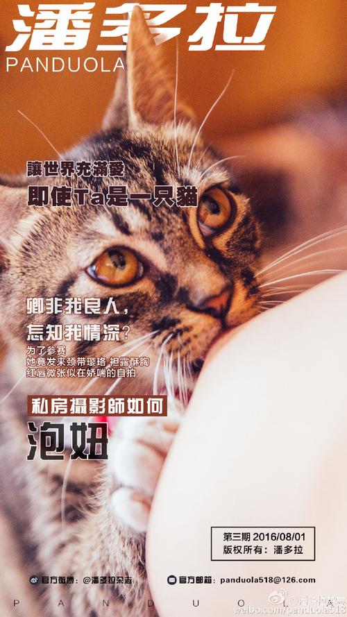 潘多拉期刊pdf电子版