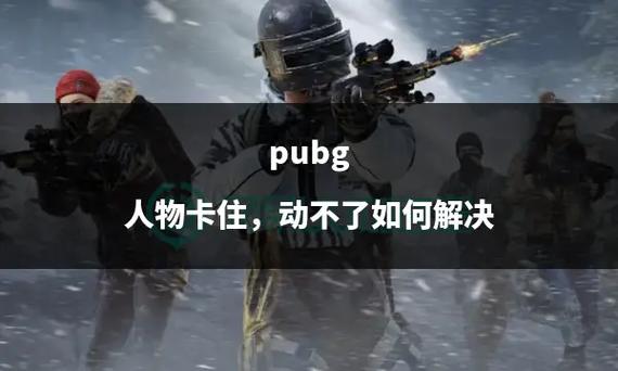 pubg屏幕卡住动不了截图