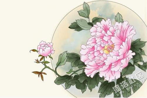 人间富贵花(np)笔