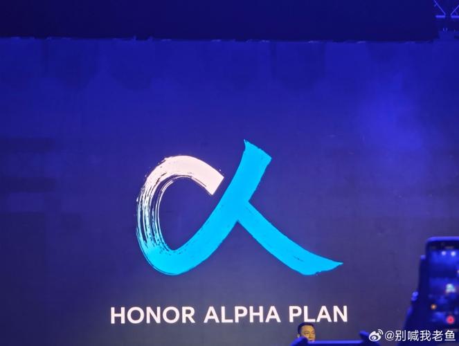 荣耀的正确解释