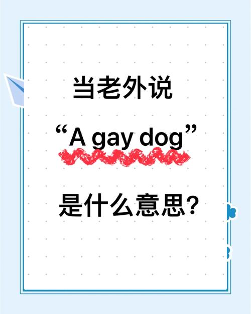 网络用语bsl的意思