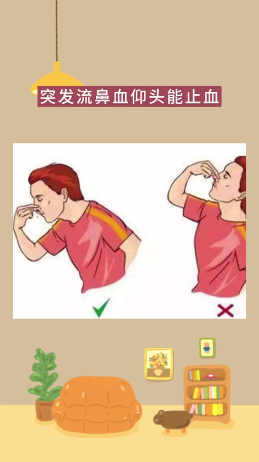 怎样阻止流鼻血的方法