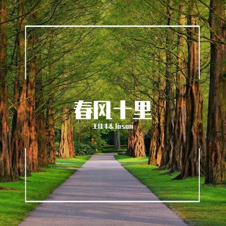 春风十里歌曲表达缩略图