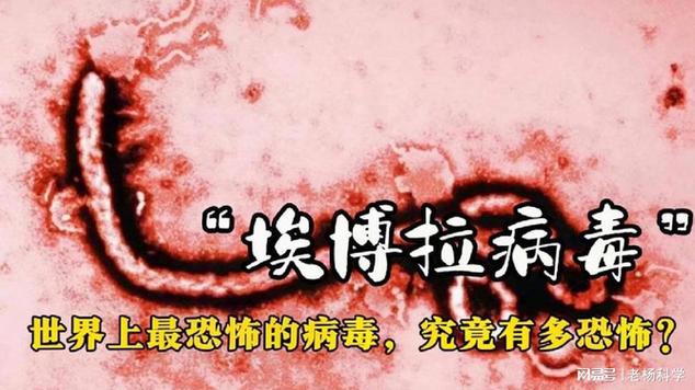 世界最可怕的病毒
