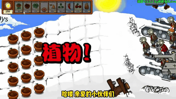 植物大战僵尸20