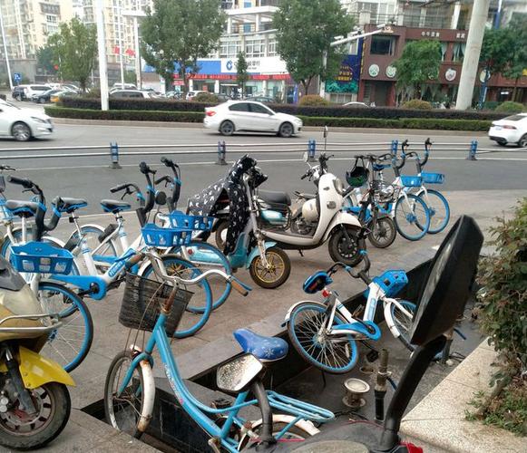 哈罗单车红包车