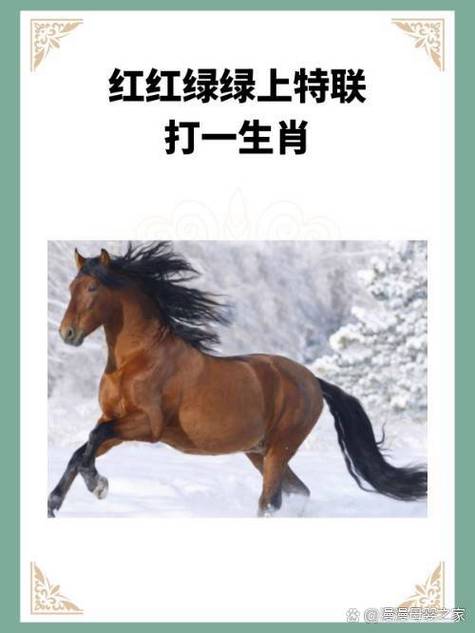 下午偏财运最旺的属相
