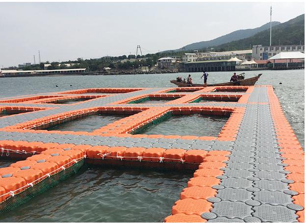 浮箱图片