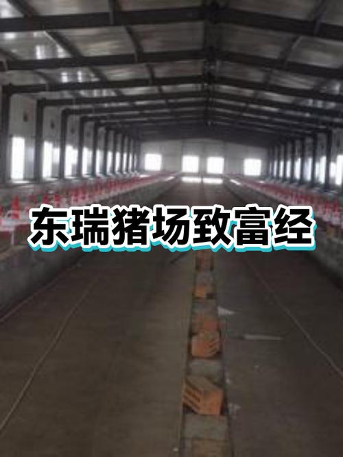 致富经养猪视频大全视频播放