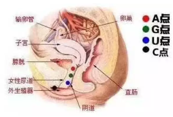 女生来感觉了会有身体哪些表现