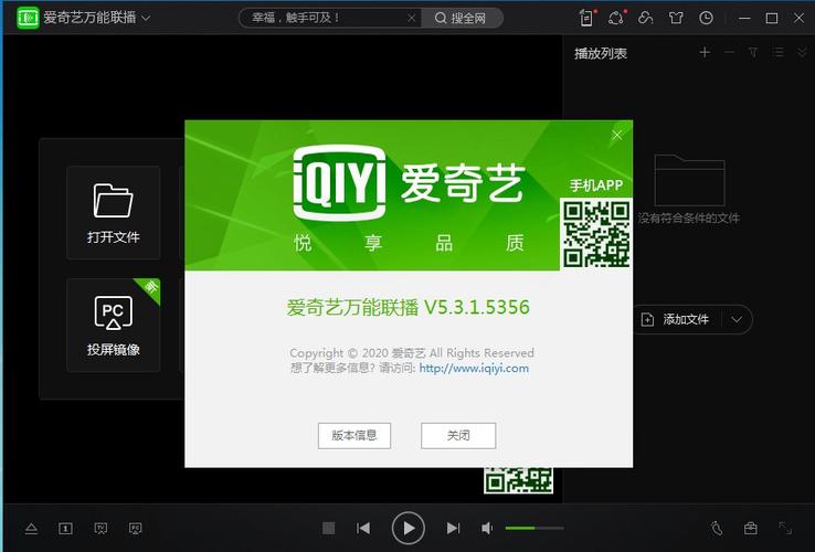 爱奇艺万能播放器支持什么格式
