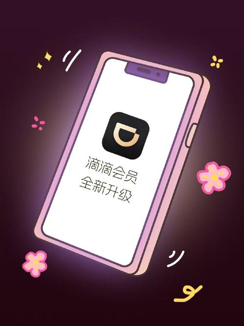 滴滴动画永久会员