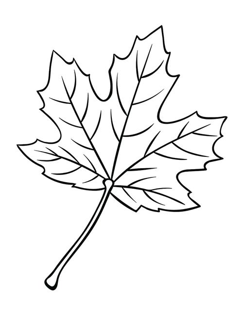 树叶的简笔画