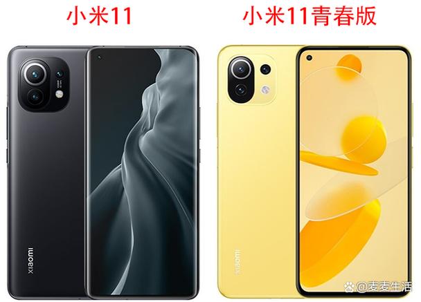 小米11有几款机型