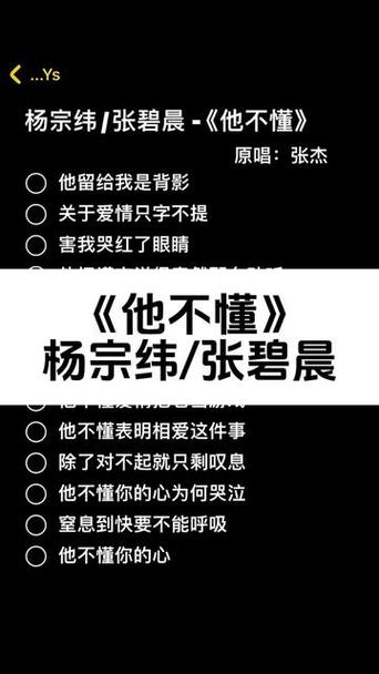 他不懂的歌词解说