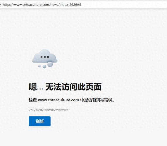 为什么您输入的网址无法访问游戏截图