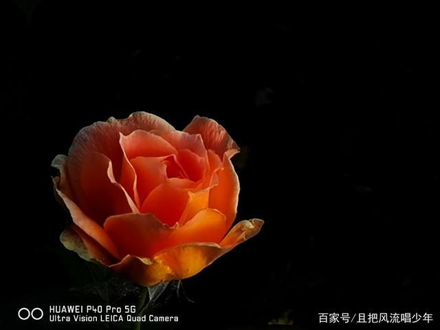 华为手机拍黑背景照片技巧