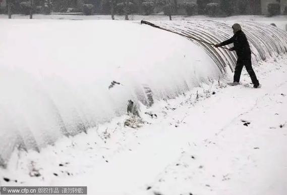 让雪不化的方法