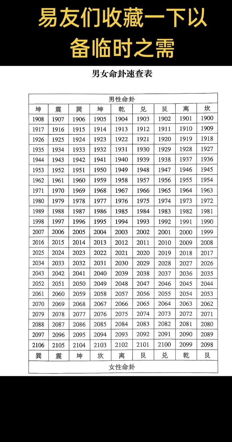 算阴命完整版下载