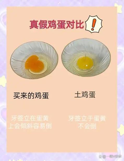 士鸡蛋咋分真假