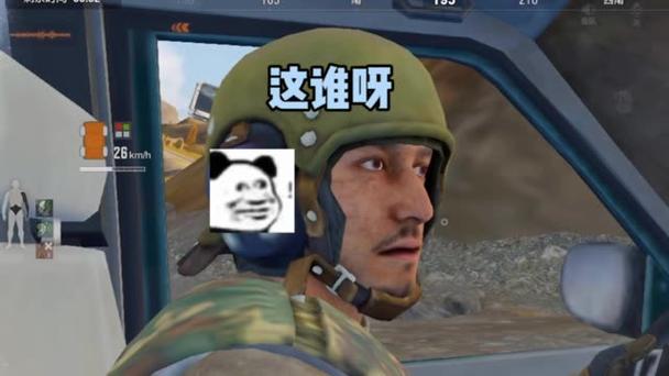 小鲨鱼暗区突围