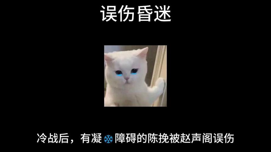 陈挽被赵声阁查到失焦