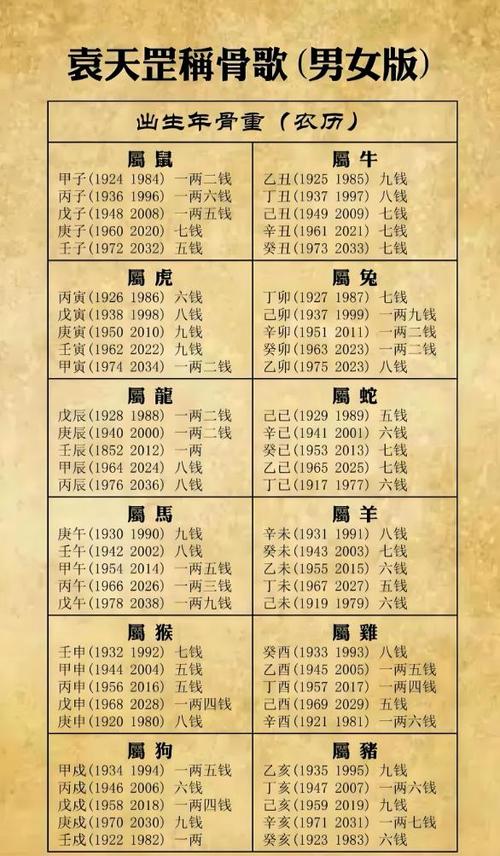术数大师
