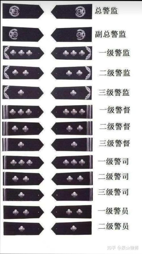 正式警号什么开头
