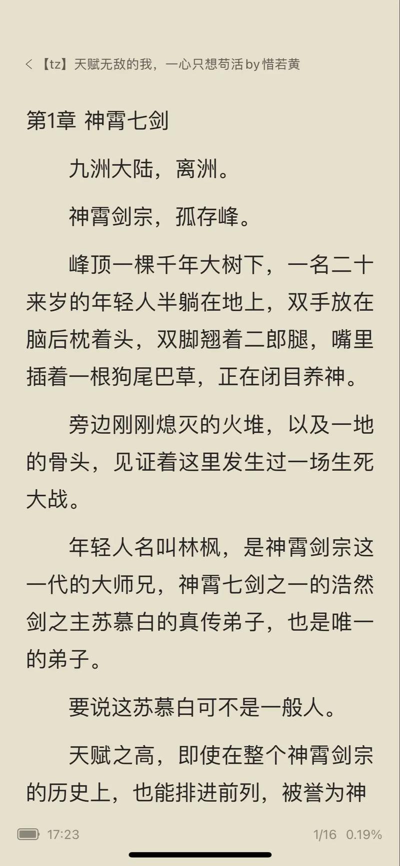 小说《林慕白陆念》免费阅读