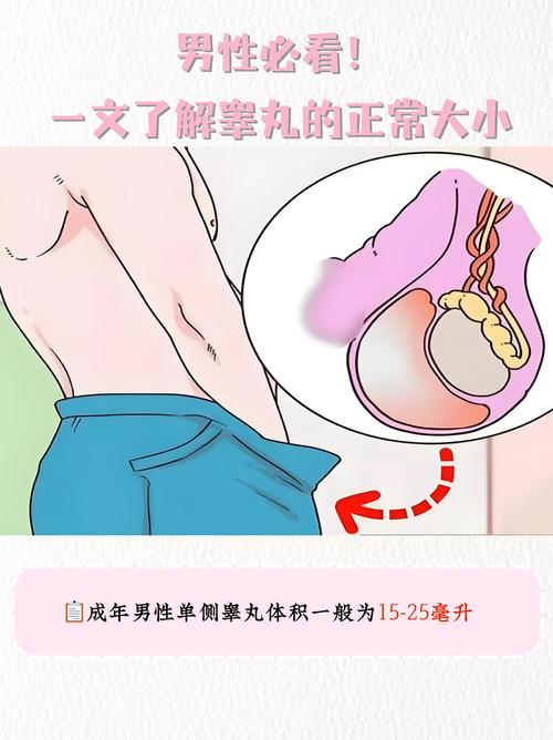 男朋友的睾丸很大一坨图标
