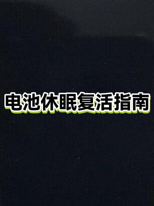 电动车电瓶休眠了怎么激活