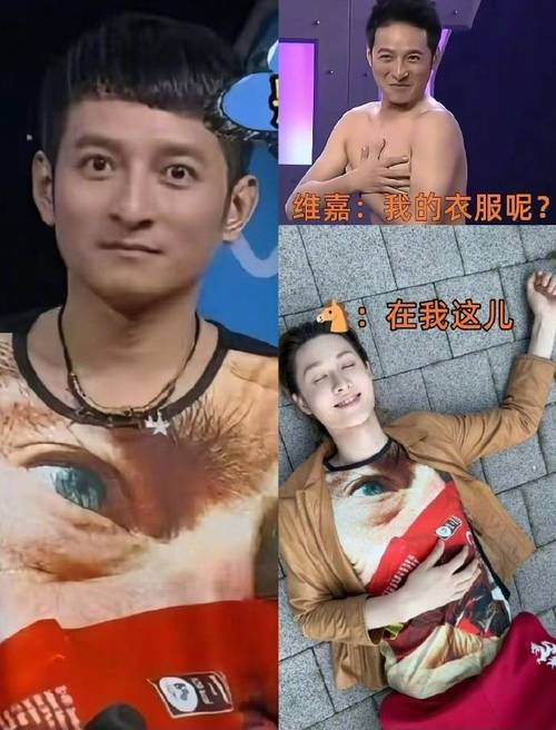 李维嘉回应旧衣服被马丁买到