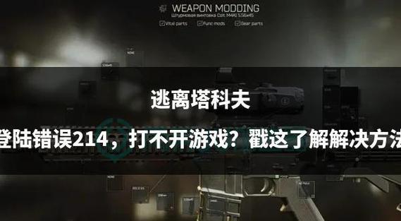逃离塔科夫214错误